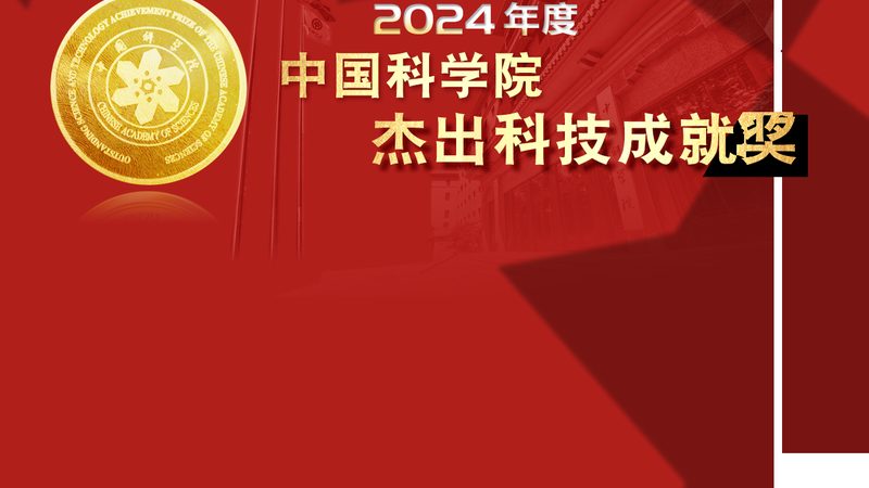 人工智能应用实战：揭秘厂家报价背后的考量